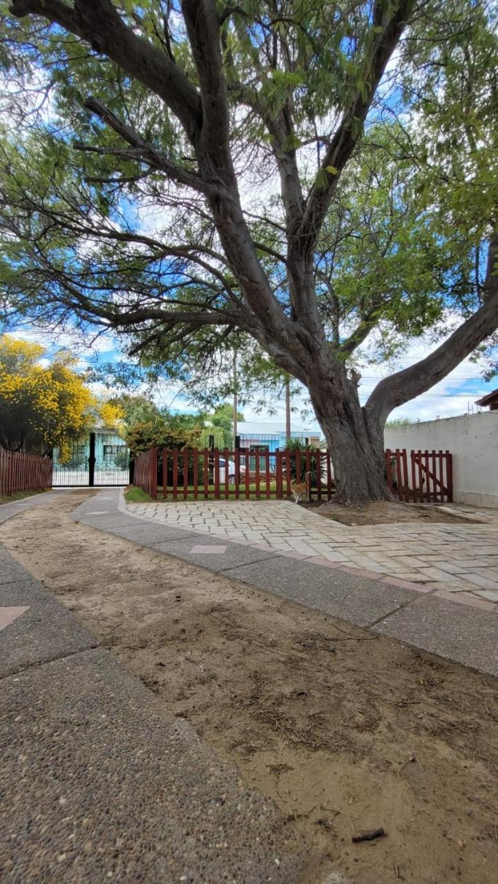 El Patio Del Aromo Apartment Пуерто Мадрин Екстериор снимка